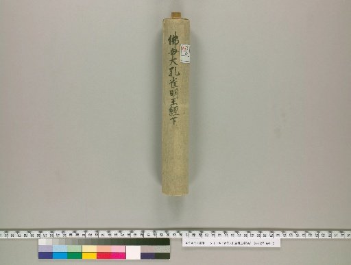 The Great Peacock King Sutra of the Buddha Mother, 3 Volumes [3]
