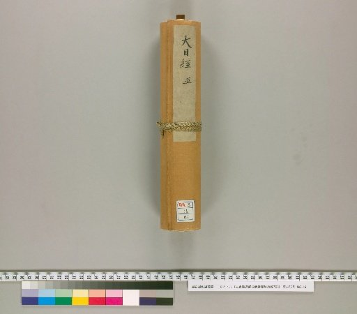 Mahavairocana Sutra: The Great Perfection of the Buddha's Transformative Power, 7 Volumes [5]