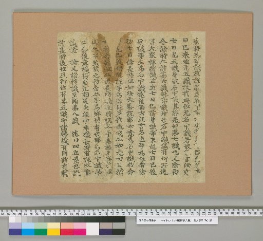 Eight Fragments of Ancient Buddhist Scriptures