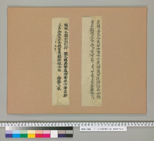 Eight Types of Ancient Edition Scripture Fragments [6]