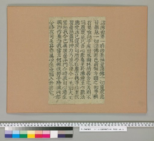 Eight Types of Ancient Edition Sutra Fragments [7]