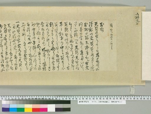[藤田幽谷書簡] [246]