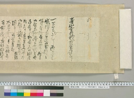 [Letters of Toyota Tengō] [216]