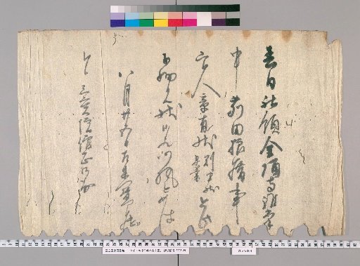 Land Deeds and Ancient Documents [3]