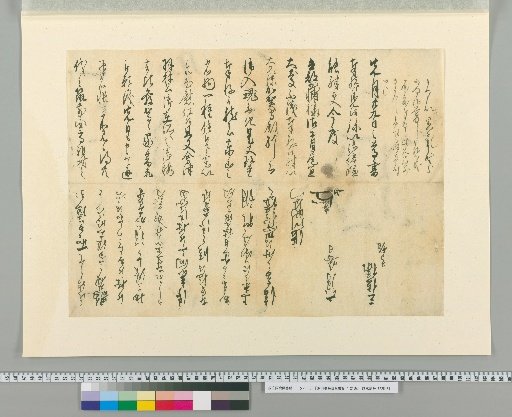 Autograph Letters of Shibukawa Shunkai [21]