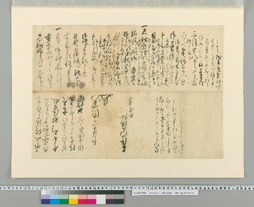 Shibukawa Shunmei's Autograph Letters [24]