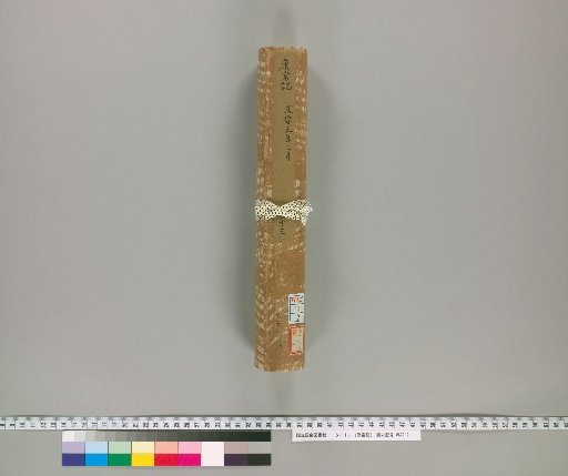 Record of Kang Fu