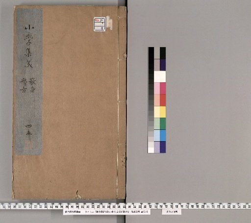 Shūju Hyōdai Chusho Shōgaku Gisei, 10 Volumes, with 1 Volume of Illustrations [4]