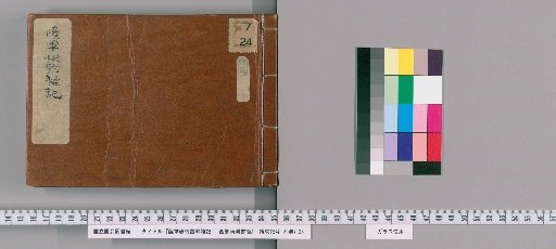 Record of the Satsuma Army's Bamboo-Breaking Thunder: Letters of Saigō Nanshū [2]