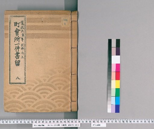 Town Office Case Records [9] 8: Kansei 6 (Year of the Tiger), 2 vols., Upper