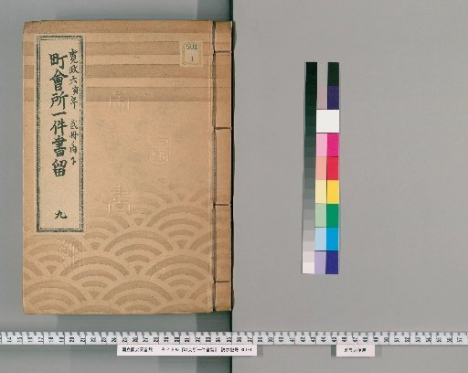 Town Office Case Records [10] 9: Kansei 6 (Year of the Tiger), 2 vols., Lower