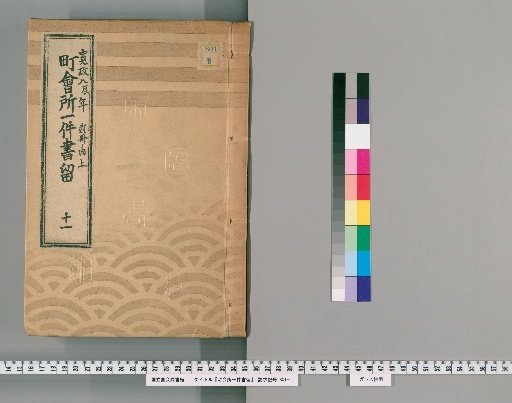 Town Office Case Records [12] 11: Kansei 8 (Year of the Dragon), 2 vols., Upper