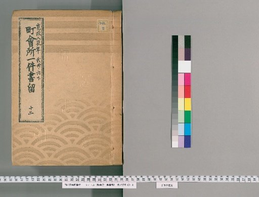 Town Office Case Records [13] 12: Kansei 8 (Year of the Dragon), 2 vols., Lower