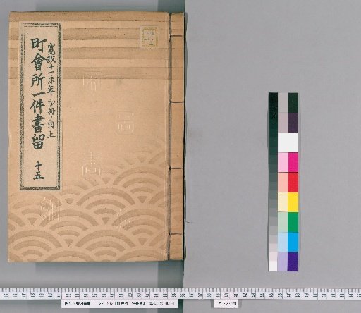 Town Office Case Records [17] 15: Kansei 11 (Year of the Goat), 2 vols., Upper