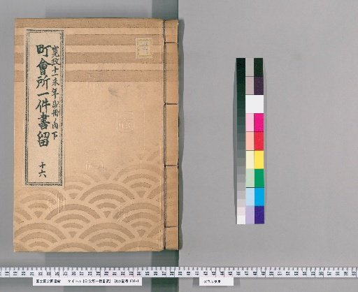 Town Office Case Records [18] 16: Kansei 11 (Year of the Goat), 2 vols., Lower