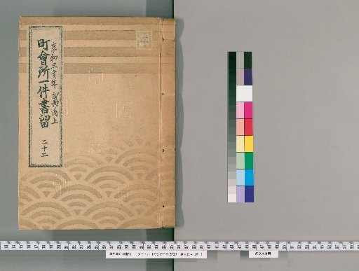Town Office Case Records [24] 22: Kyōwa 3 (Year of the Pig), 2 vols., Upper