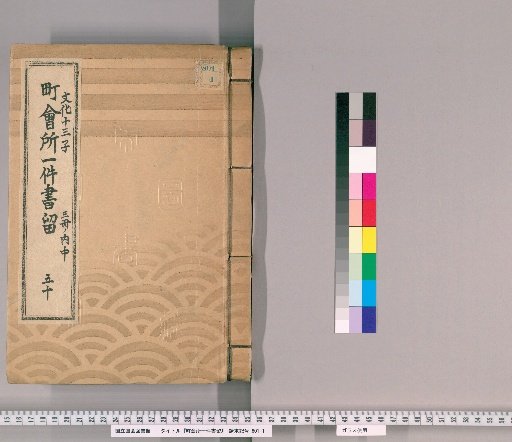 Town Office Case Records [68] No. 50, 13th Year of Bunsei (Year of the Rat), Vol. 2 of 3