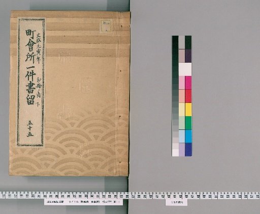 Town Office Case Records [74] No. 55, 1st Year of Bunsei (Year of the Tiger), Vol. 2 of 2