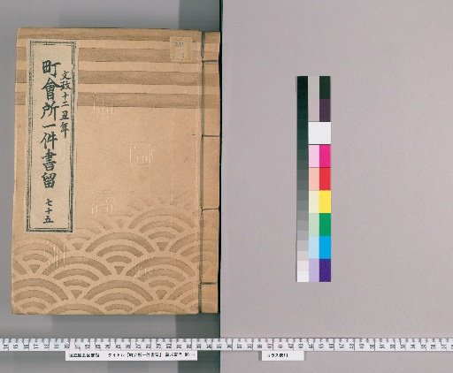 Town Office Case Records [96] No. 75, 12th Year of Bunsei (Year of the Ox)