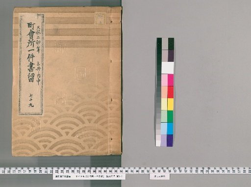 Town Office Case Records [100] No. 79, 2nd Year of Tenpō (Year of the Rabbit), Vol. 2 of 3