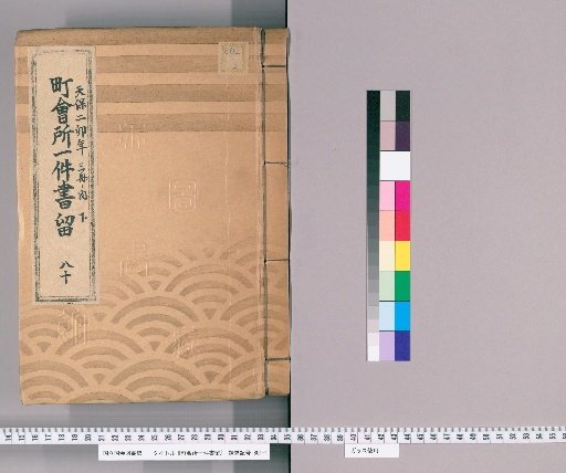 Town Office Case Records [101] No. 80, 2nd Year of Tenpō (Year of the Rabbit), Vol. 3 of 3