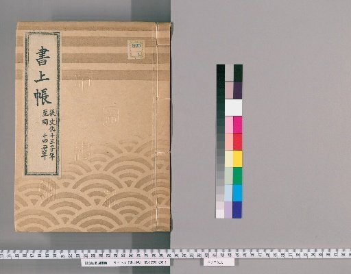Report Ledger, Vol. 49 (Bunka 13–14)