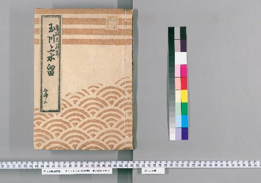Tamagawa Jōsui Records [53]: One Case of Construction for the Teppōshū Chikuchi Kōbusho, in the 3rd Year of Ansei (1856), Part 2