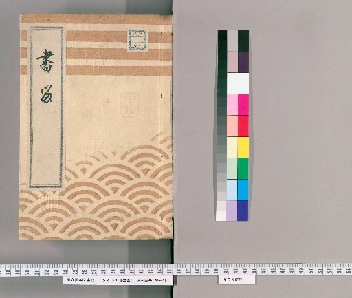 Book of Retained Letters, Volume 5: Book of Retained Letters, Nine, Northern Foot Correction
