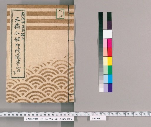 Sanbashi, Vol. 17 [8]: Records of Repairs for Minor Damage to Sanbashi, Including the Earthquake-Damaged Bridge Guardhouse Under the Magistrate's Direct Supervision, Lower, From Year of the Pig, 4th Year of Kanei to Year of the Rabbit, 2nd Year of Ansei