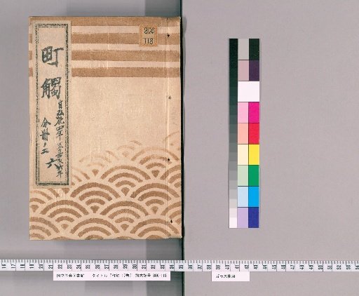 Town Ordinances, Vol. 17 [11], Part 7, Book 2: From 1844 to 1853