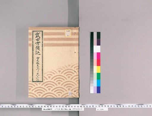 Samurai Bindings, Volume 74 [25]