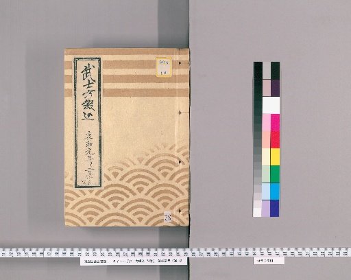 Samurai Bindings, Volume 74 [28]