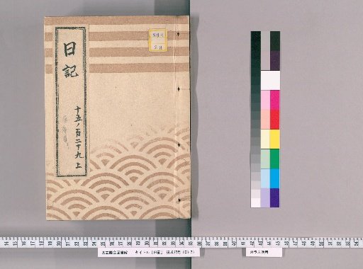 Diary