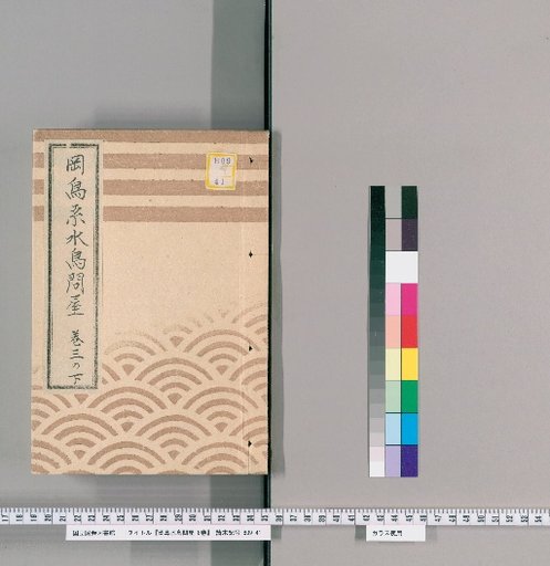 Catalogue of Owls and Waterfowl, 8 Volumes [6]