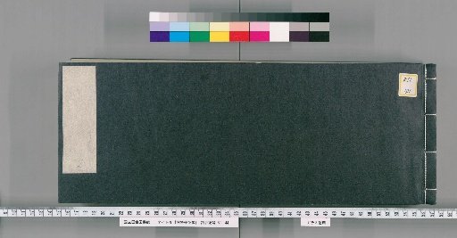 Record of Exemptions from Temple Opening Ceremonies, Volume 2
