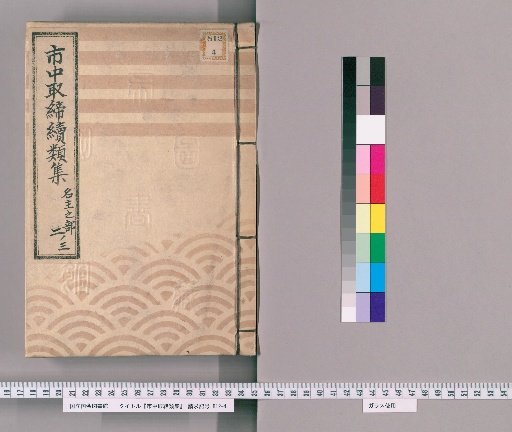 Supplement to the Collection of City Regulations [8]: Section on Village Headmen