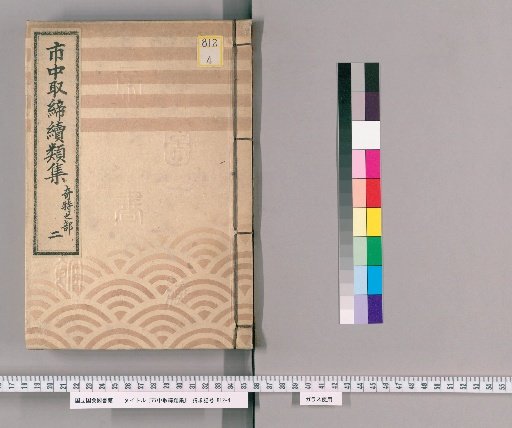 Collection of Continued Regulations for City Control [198]: Unusual Cases Section