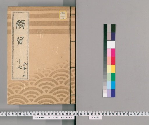 Shokuryu, Volume 37: Shokuryu 17, Koka