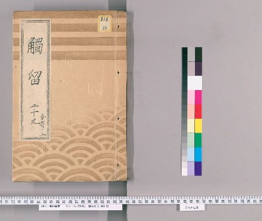 Shokuryu, Volume 60: Shokuryu 29, Ansei