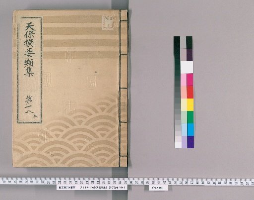 Tenpō Selected Collections [49] Volume 18, Part 1: Section on Ceremonial Gifts