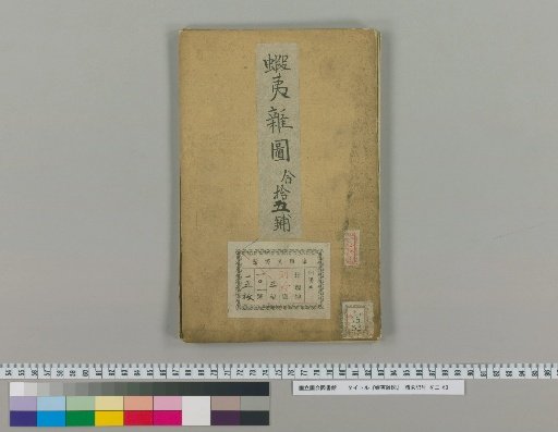 Ezo Miscellaneous Pictures [7]