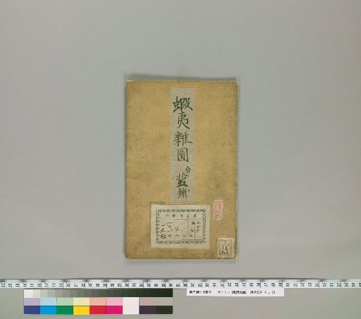Ezo Miscellaneous Pictures [11]