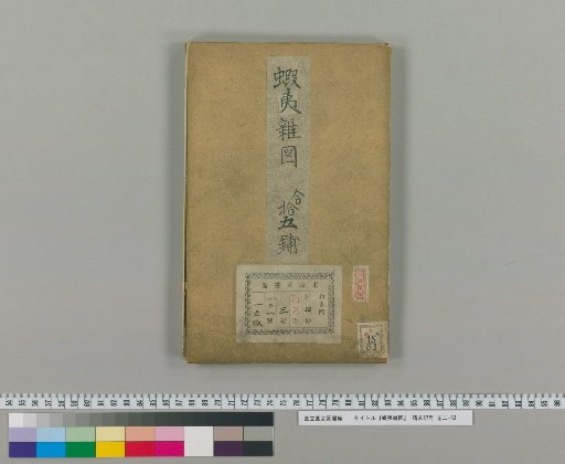 Ezo Miscellaneous Pictures [12]