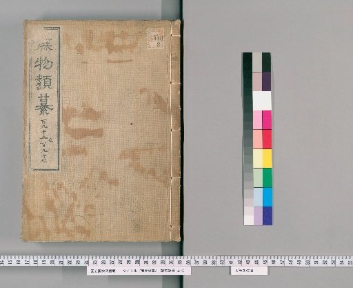 Zatsubutsu Rui-san [53]