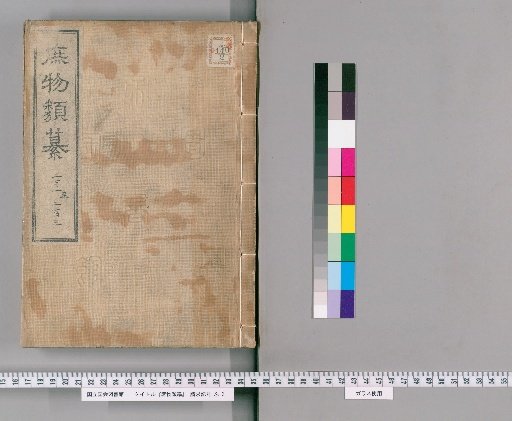 Zatsubutsu Rui-san [55]