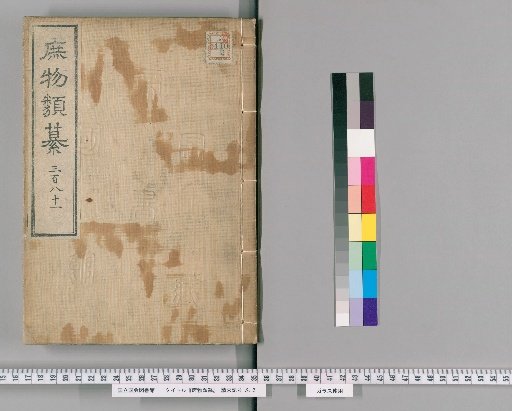 Zatsubutsu Rui-san [121]