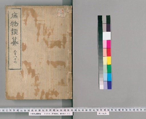 Zatsubutsu Rui-san [127]