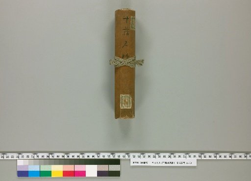Letters of the Elder Chion [2]