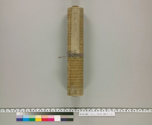 Illustrated Scrolls of Classified Topics [20]