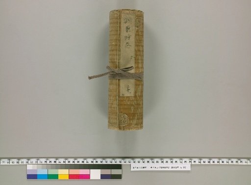 Illustrated Scrolls of Classified Topics [28]